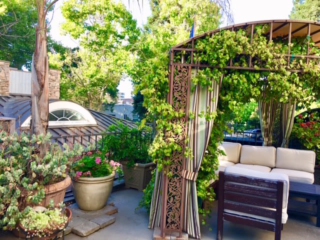 A lush outdoor garden patio with a cozy gazebo surrounded by greenery and potted plants.