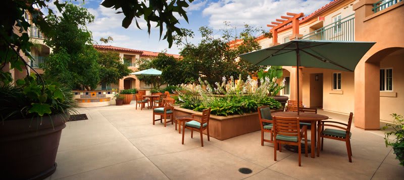 A serene courtyard with outdoor seating and lush greenery.