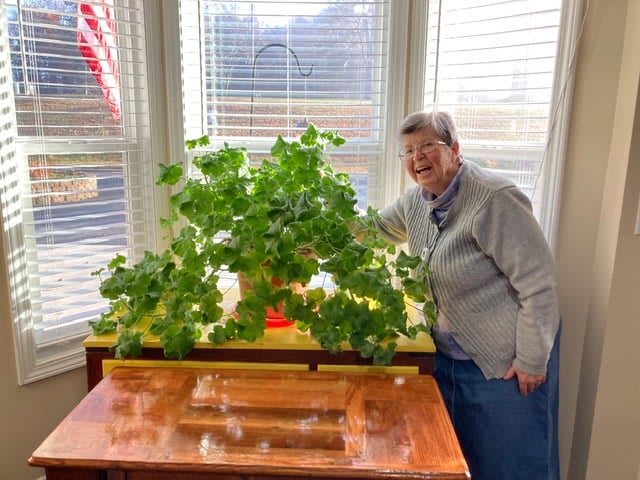 A senior person smiling next to a large houseplant on a windowsill.