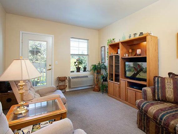 Cozy living room with a sofa, television, and plants.