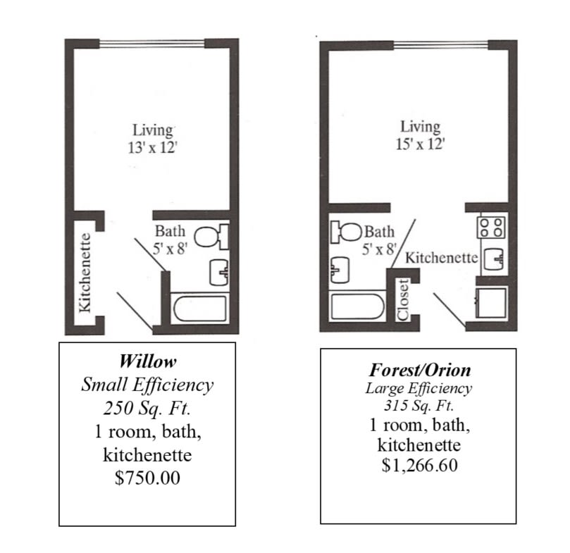 Comparison of Small and Large Efficiency Apartment Floor Plans with Pricing.