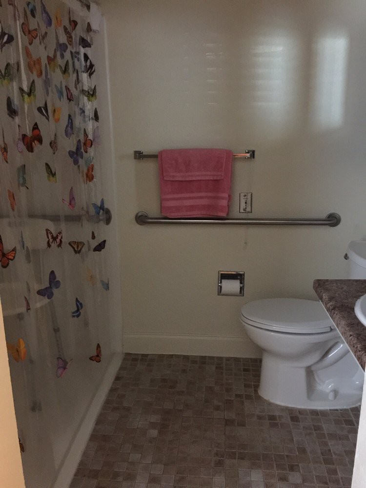 A bathroom with a butterfly-themed shower curtain, featuring a toilet, grab bars, and a pink towel.