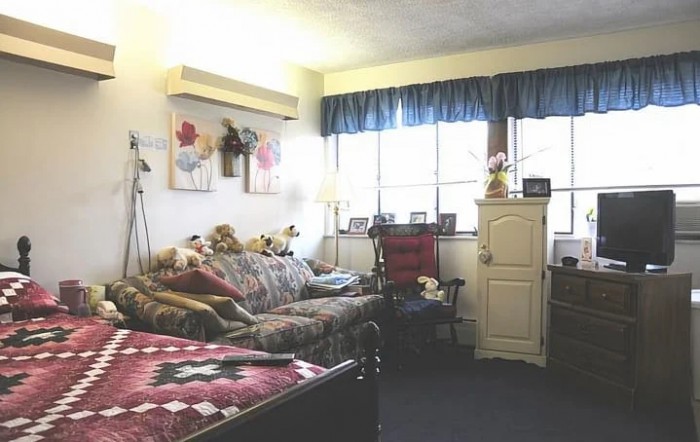 A cozy living area with a sofa, bed, and decorative elements by the window.