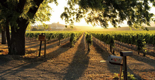 Sonoma Post Acute