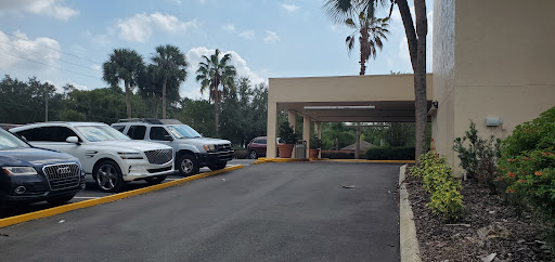A view of a parking area in front of a building, framed by palm trees and a partly cloudy sky.