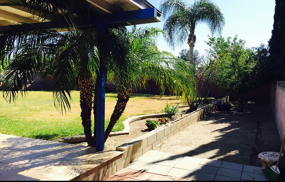 A sunny backyard with palm trees and a concrete patio area.