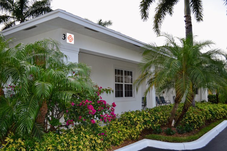 A tropical house surrounded by lush landscaping and palm trees.