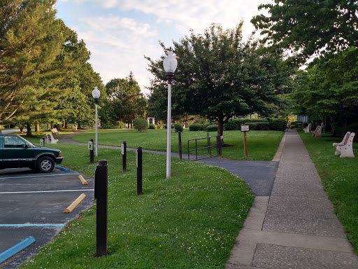 A serene park pathway bordered by lampposts and lush greenery.