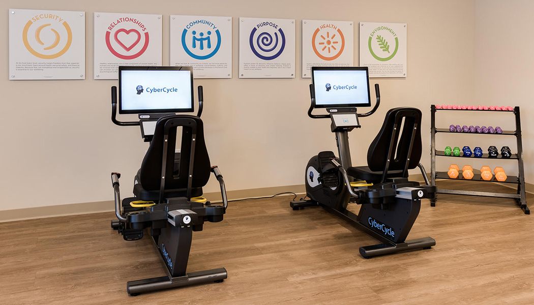 A pair of recumbent stationary bikes equipped with screens in a modern gym setting.