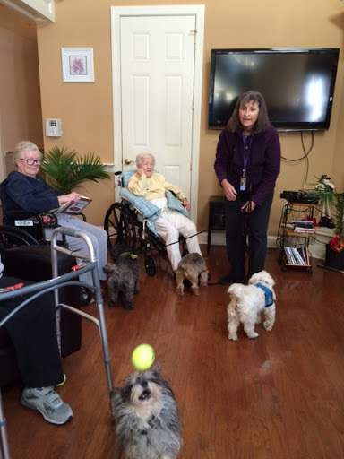 Residents of a care facility enjoying some playful moments with dogs.