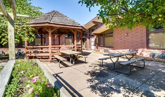 A sunny outdoor patio area with a gazebo and picnic benches.