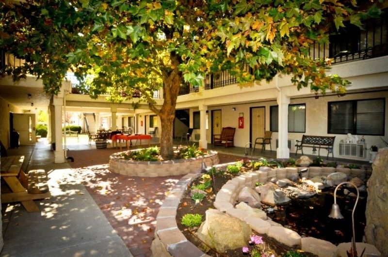 A serene courtyard with a central tree, surrounded by building structures and benches.