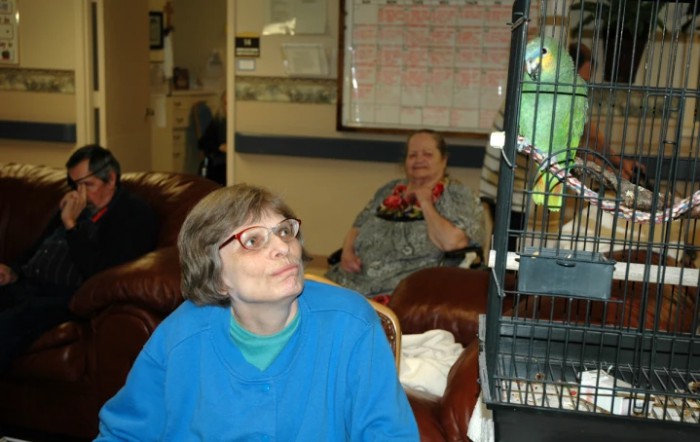 Bangs Nursing And Rehabilitation Center