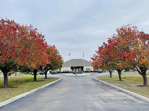 A picturesque autumn scene with vibrant red trees lining the pathway to a building.