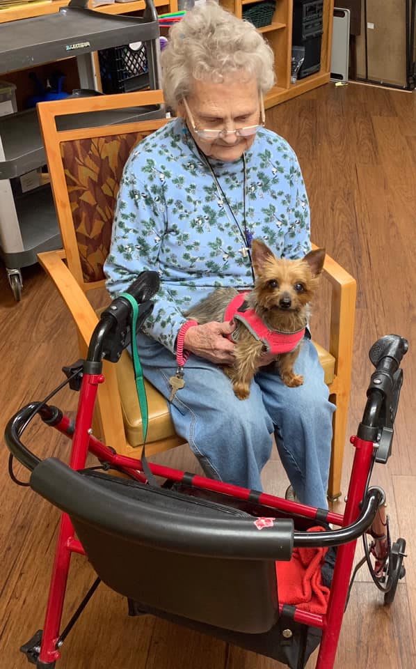 An elderly woman sitting on a chair indoors, holding a small dog on her lap with a walker in front of them.