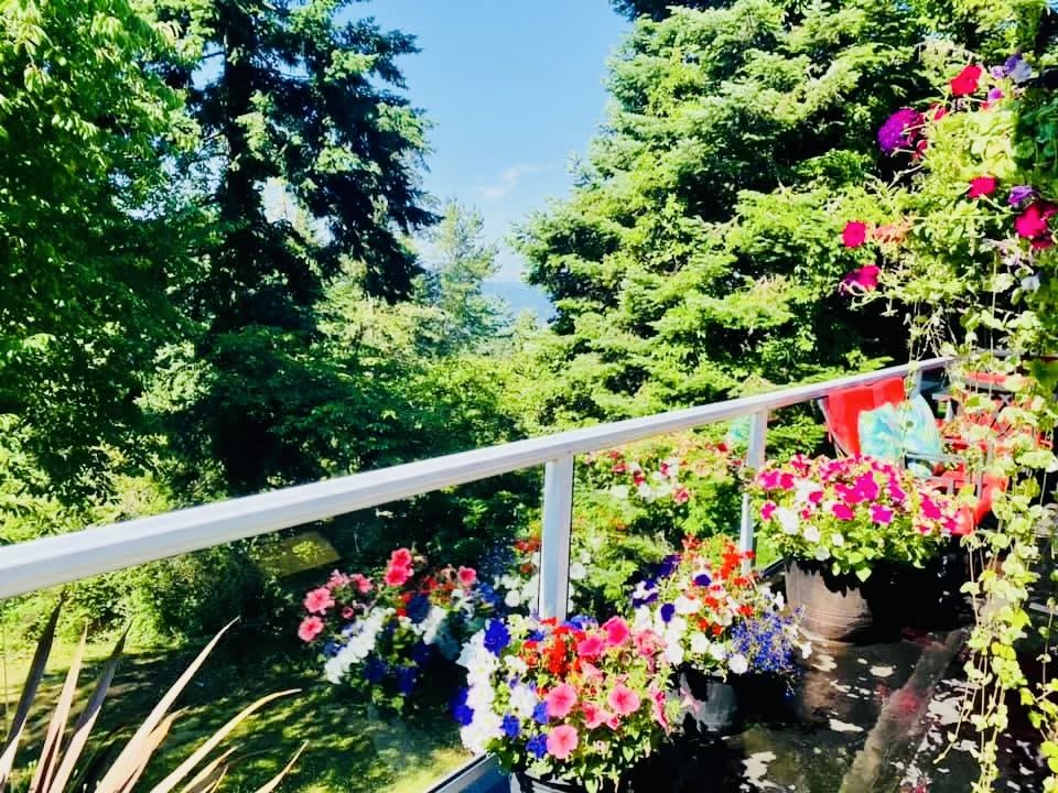 A vibrant balcony garden filled with colorful flowers surrounded by lush greenery.