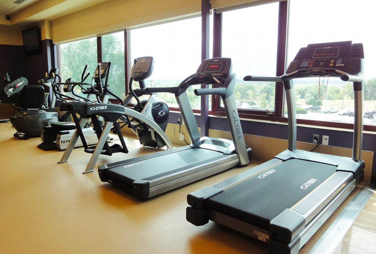 A well-lit gym with treadmills and exercise equipment facing large windows.
