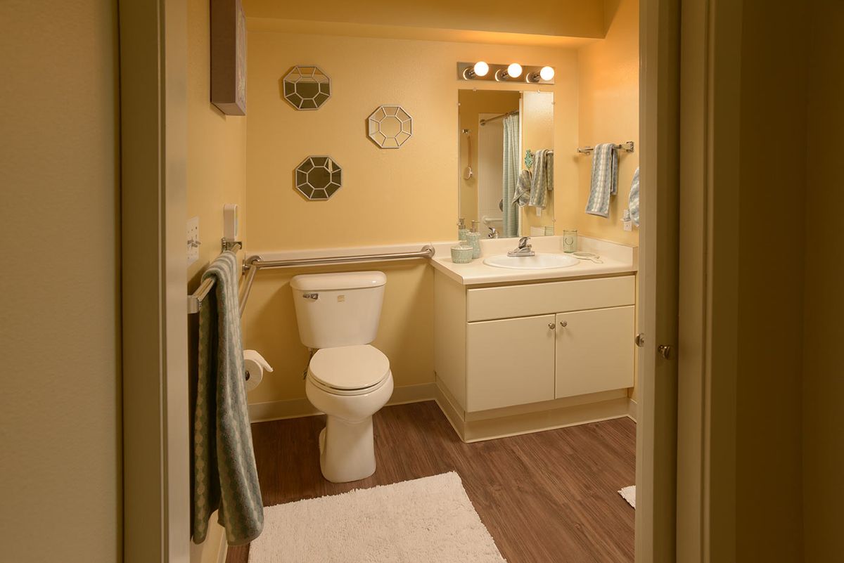 A well-lit bathroom with a toilet, sink, and decorative elements.