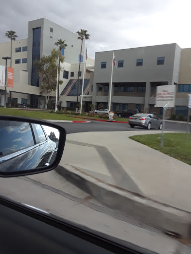 A view of a modern building with palm trees in the foreground, captured from a car.