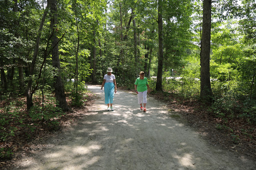 Two individuals enjoying a leisurely walk down a tree-lined path.
