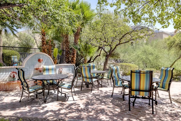 A tranquil outdoor patio area with tables and chairs under the shade of trees.
