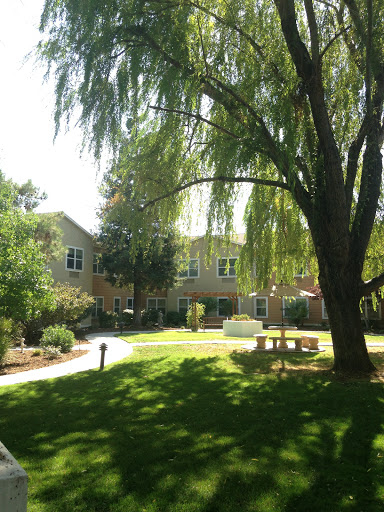 A serene outdoor space featuring lush greenery and a peaceful residential setting.