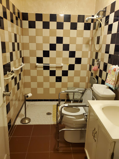 A neatly designed bathroom featuring a checkered tiled wall, equipped with accessibility features for ease of use.