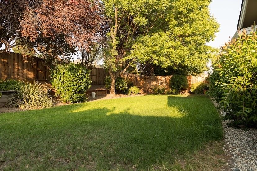A sunny garden with lush green grass and various trees.