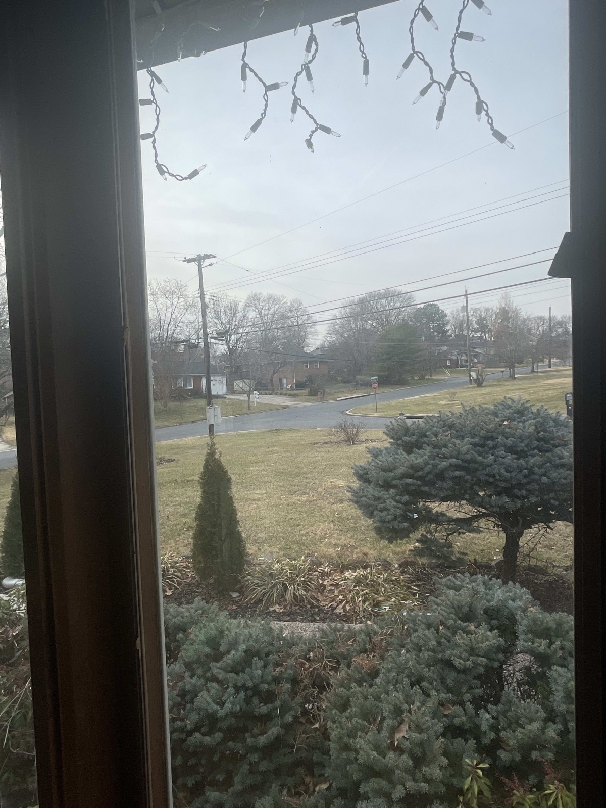 A view of a suburban street through a window on an overcast day.