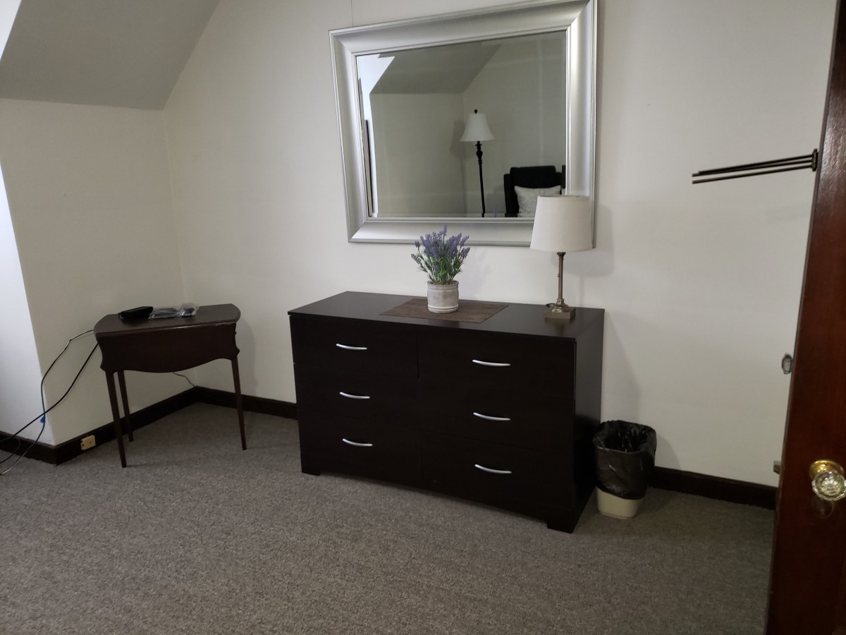 A bedroom corner featuring a dresser with a mirror, lamp, and decorative plant.