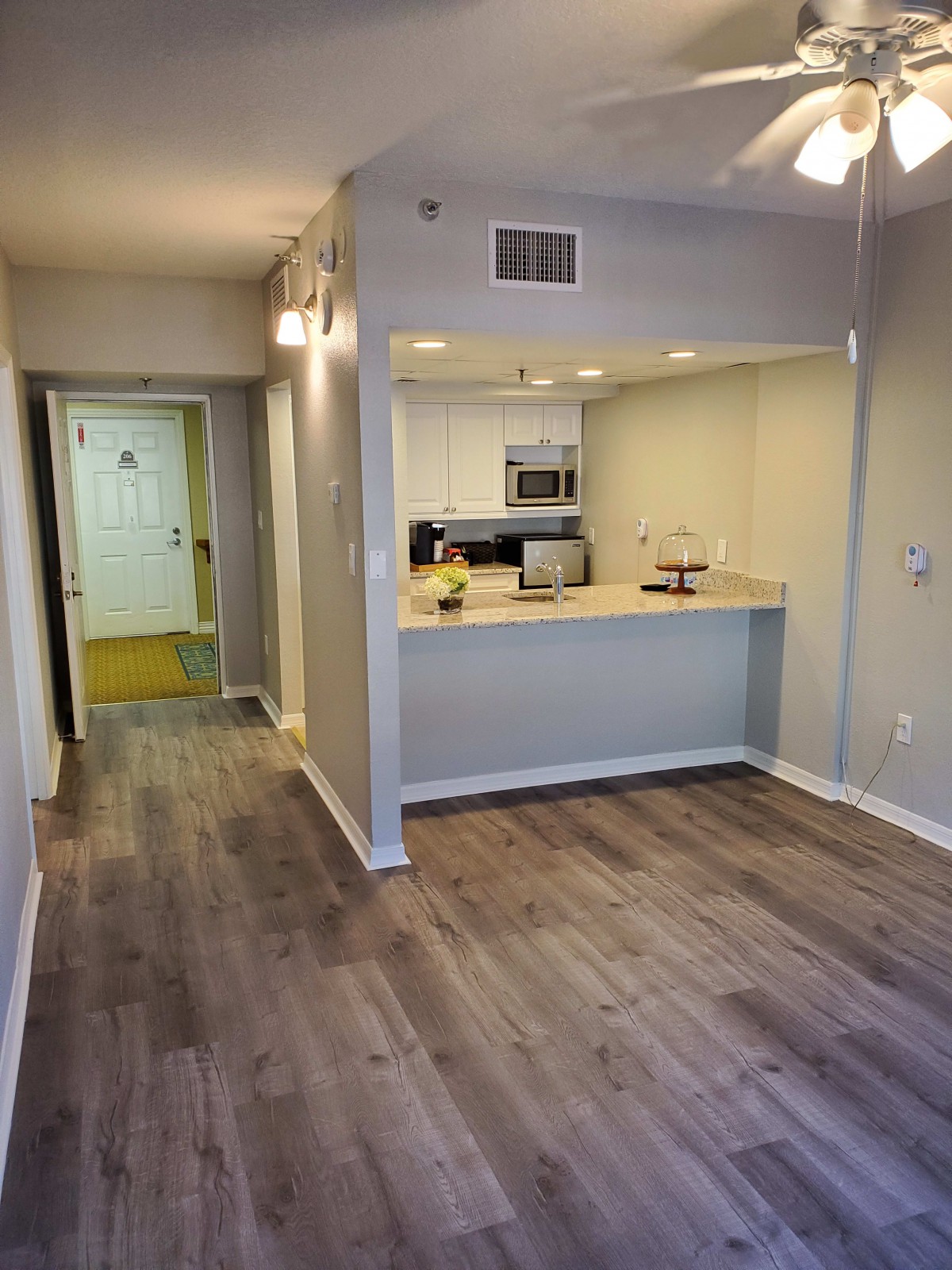 Modern apartment interior with an open kitchen and living area featuring hardwood floors.