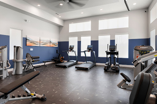 A well-equipped gym featuring various exercise equipment, including treadmills and ellipticals, designed for a modern workout experience.