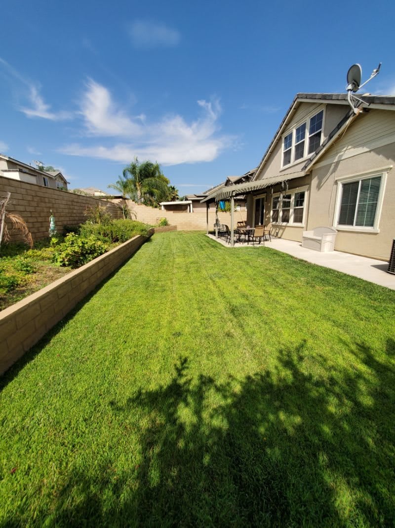A sunny backyard with a well-maintained lawn and garden area beside a house.