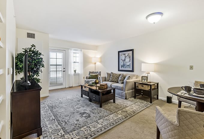 A cozy living room with a stylish sofa, coffee table, and elegant decor.