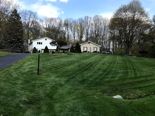 A serene view of two houses surrounded by a well-maintained lawn and trees under a partly cloudy sky.