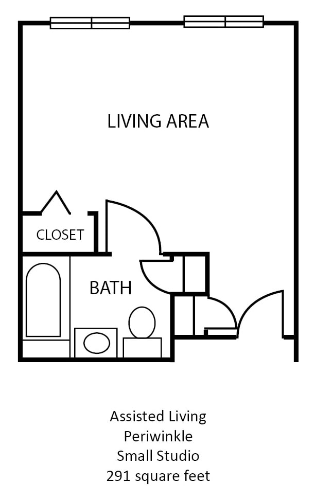 A simple floor plan depicting a living area, bath, and closet.