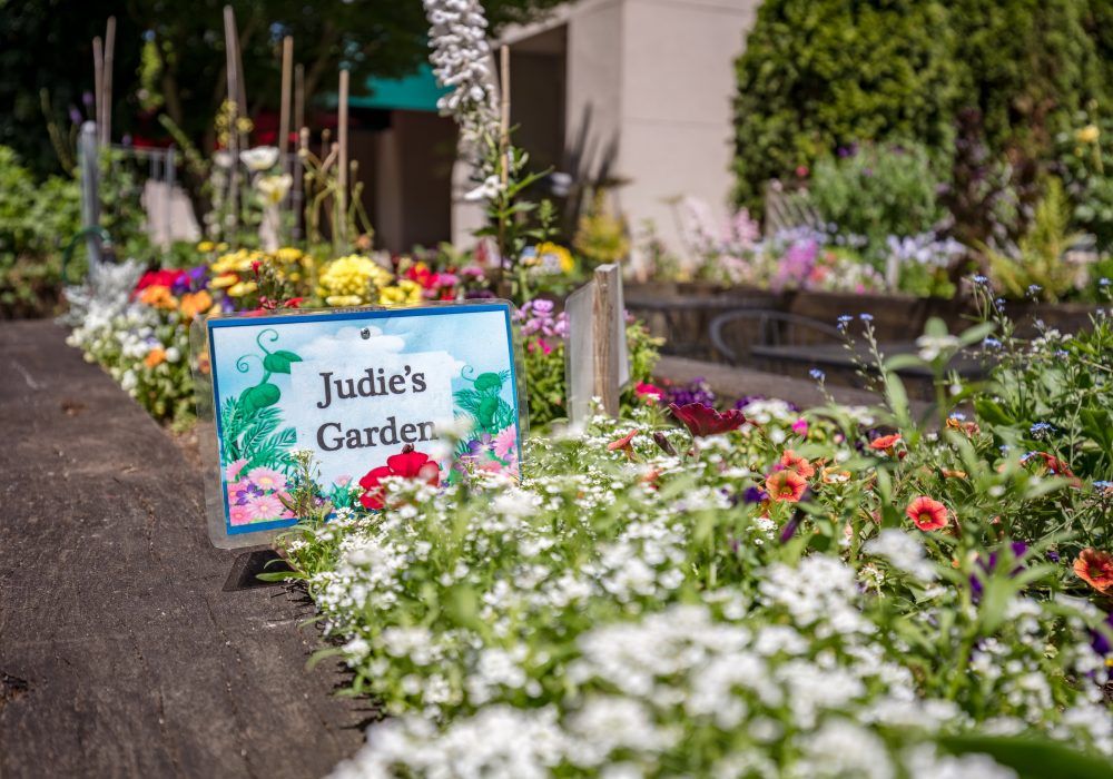 A vibrant garden with a sign reading 'Julie's Garden' surrounded by colorful flowers.