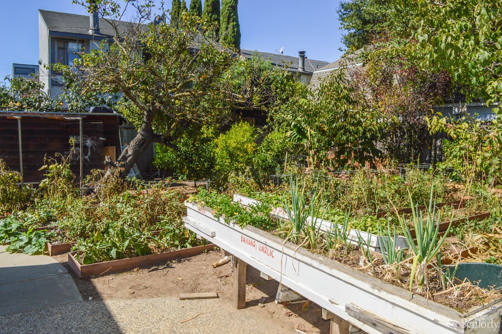 A lush vegetable garden with raised beds, surrounded by greenery.