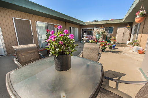 A vibrant patio adorned with blooming flowers, perfect for enjoying a sunny day.