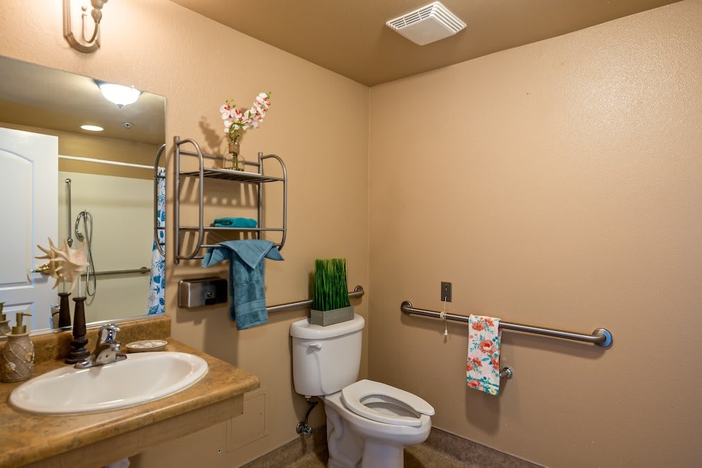 A well-equipped bathroom with safety features and decorative elements.