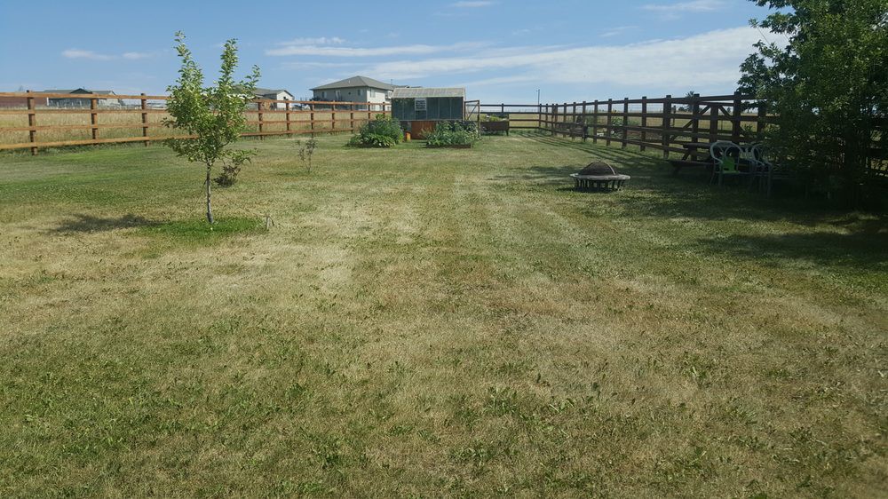 A spacious backyard with a mowed lawn, fenced perimeter, and small shed in the distance.
