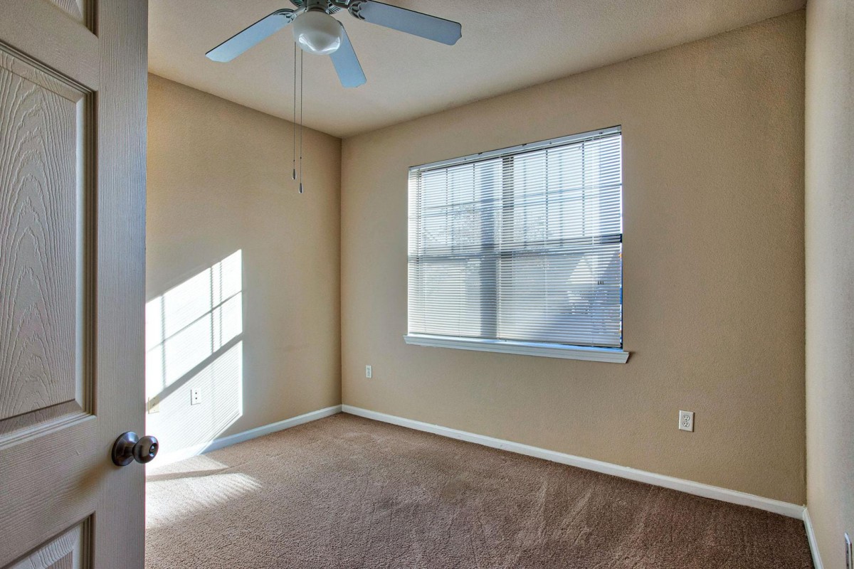 An empty room with a window, carpeted floor, and ceiling fan, illuminated by sunlight.