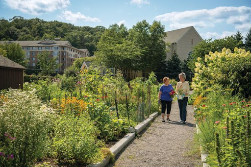 Two individuals stroll through a vibrant garden, surrounded by lush greenery and blooming flowers.