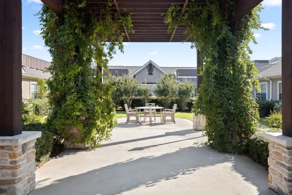 A scenic view through an ivy-covered pergola leading to an outdoor seating area surrounded by lush greenery.