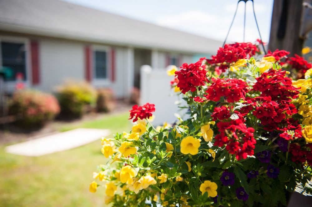A vibrant hanging planter with red and yellow flowers brightens up the home's exterior.