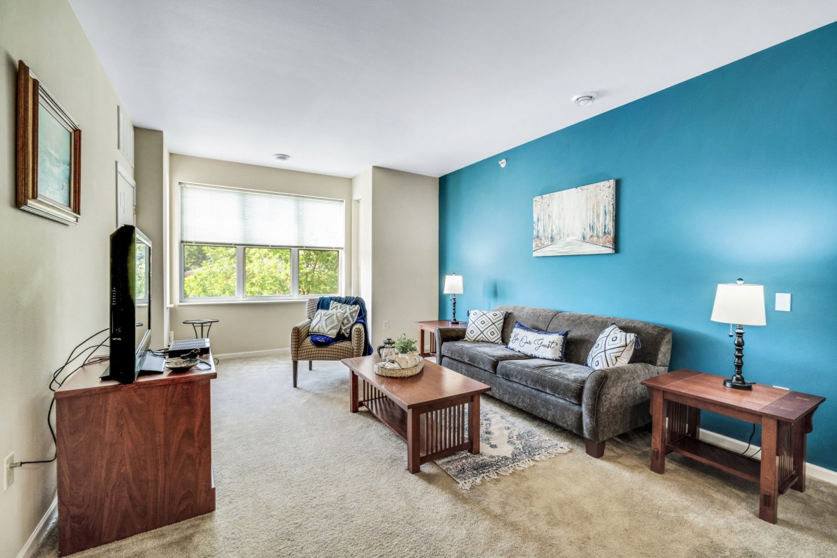 A cozy living room featuring a blue accent wall, comfortable sofa, and ample natural light through large windows.