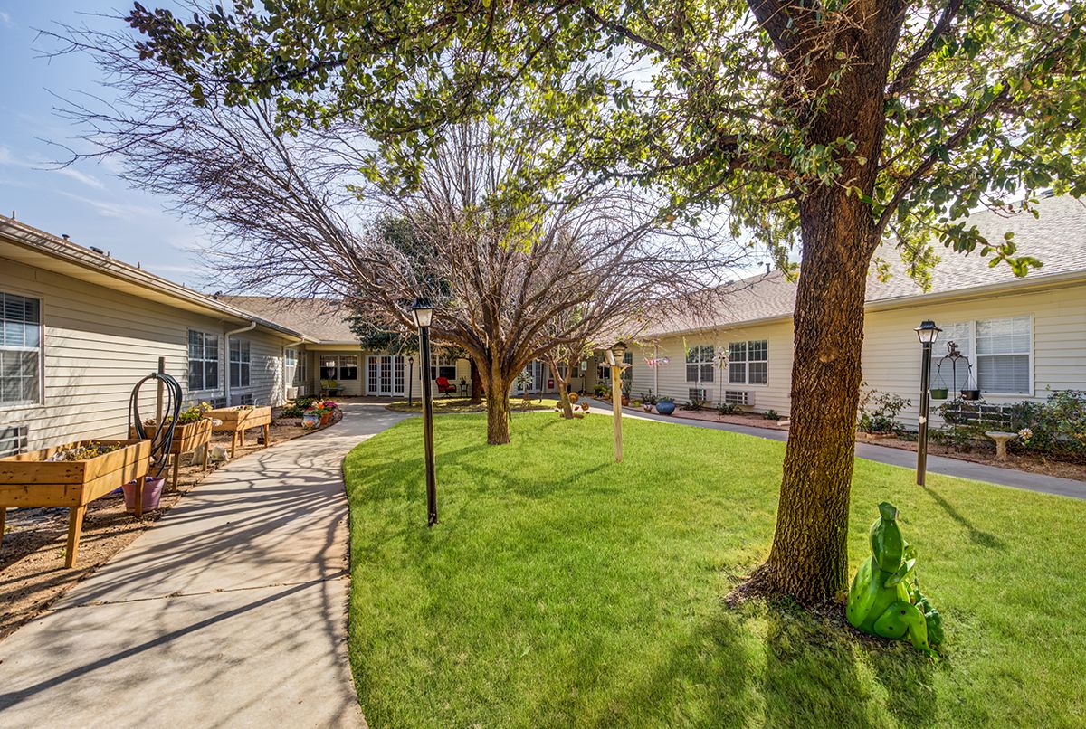 A sunny courtyard with green lawn, trees, and surrounding buildings.