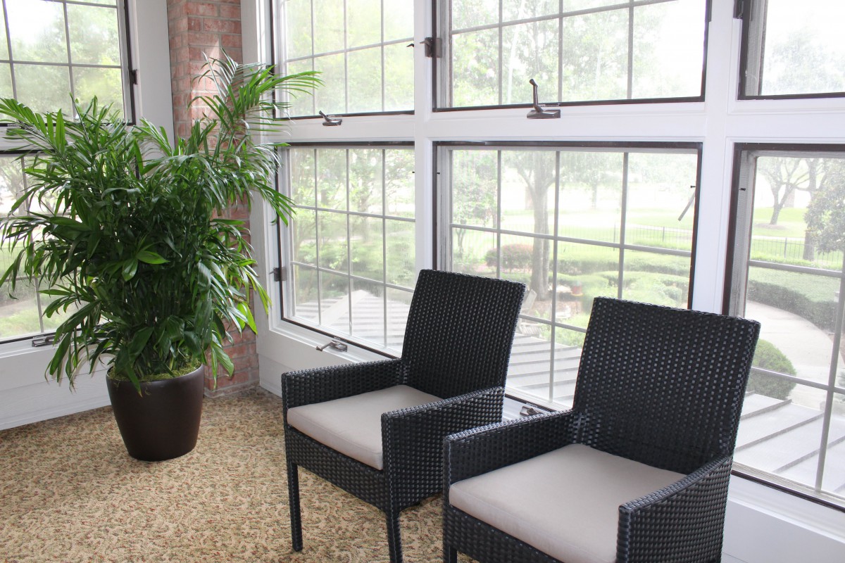 A cozy corner with two chairs and a large potted plant by the windows.