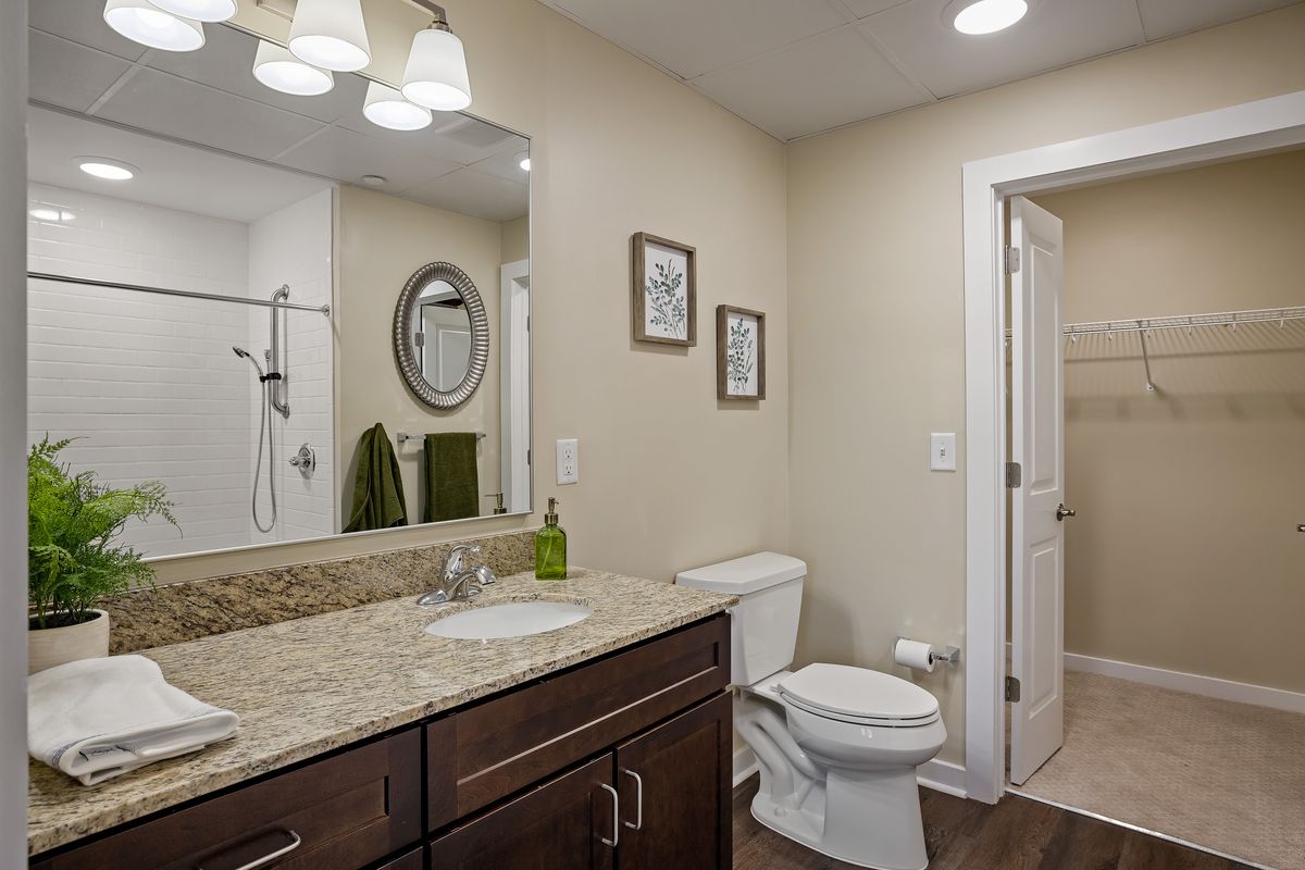 A modern bathroom with a granite countertop, wooden cabinets, and a walk-in shower.