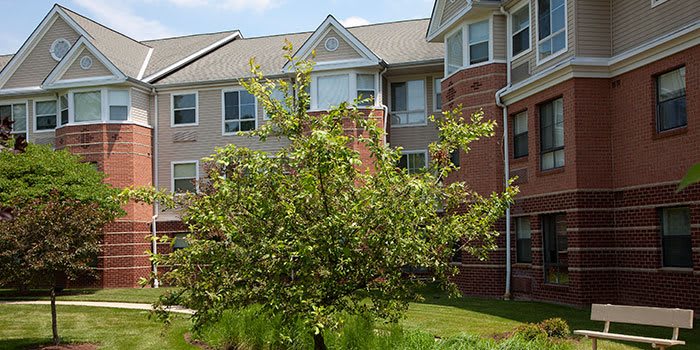 A leafy tree stands in front of a multi-story apartment building with brick and siding exterior.